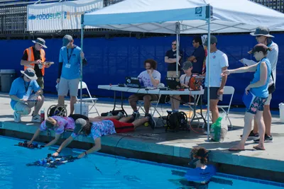 Aquatic Duos image 4