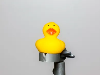 Duck Norris