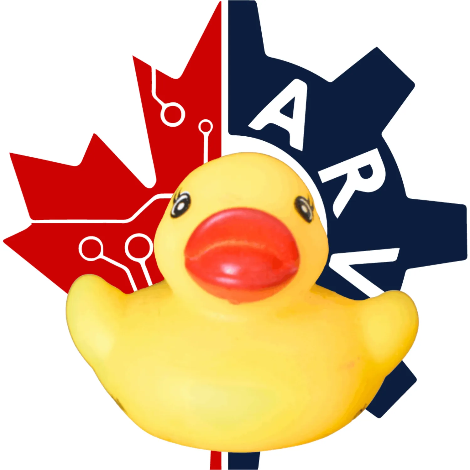 Firequacker