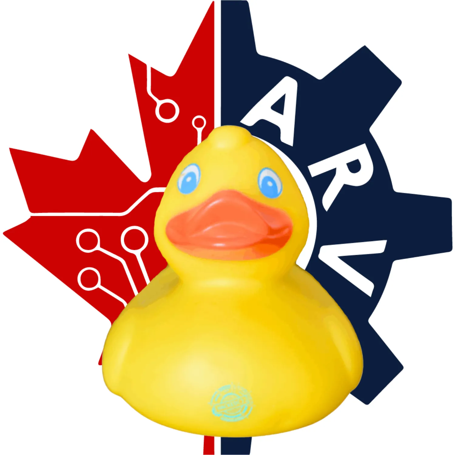 Moby Duck